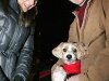 Newcastle Tree Lighting 07