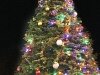 Newcastle Tree Lighting 10