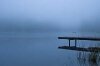 Fog on Beaver Lake