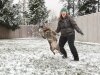snowmaldonadodog-20131220