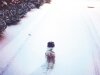 snowvermeiredog-20131220