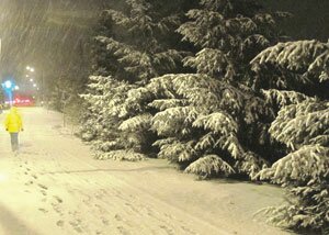 snow-weather-newc-20101122e
