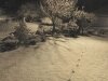 newcastlesnow02