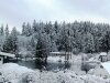 newcastlesnow04