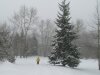 snow-12
