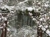 snow-8