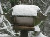 snow-9