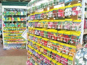 Squak Mountain Greenhouses and Nursery has large shelves dedicated to displaying seed packages for the home garden. By David Hayes