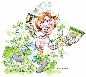 DetmerColumn 20130500