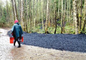 By Kate Smigiel Artist Hans Baumann spreads bio-carbon, a black charcoal often used as a fertilizer for agricultural crops and ornamental plants such as orchids, as part of a large-scale art installation on Cougar Mountain.