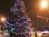 Tree Lighting 05